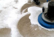 Cleaning a carpet